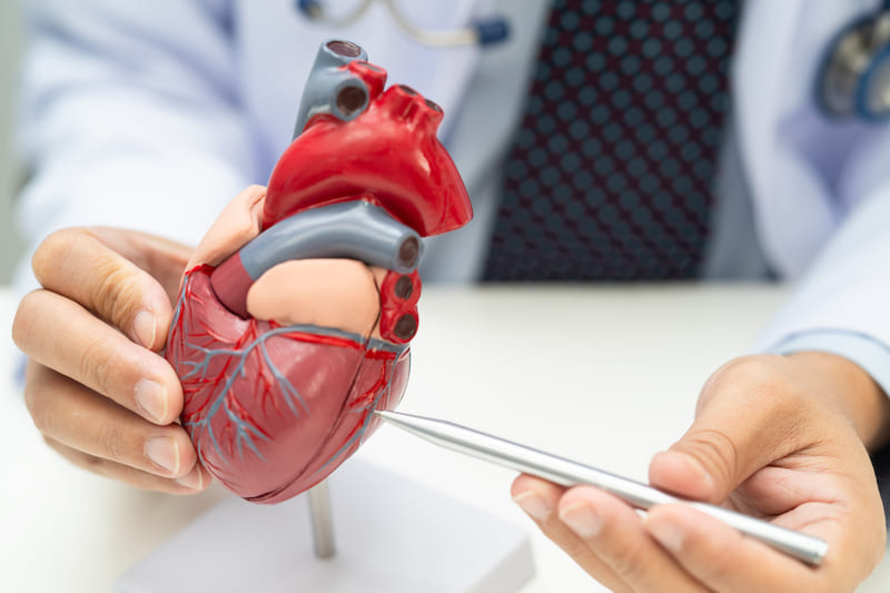 consult cardio